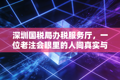 深圳国税局办税服务厅，一位老注会眼里的人间真实与数字化突围