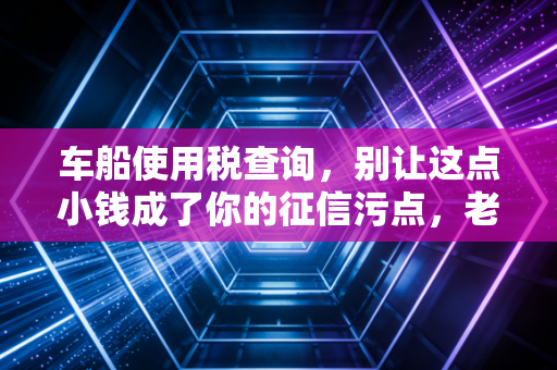 车船使用税查询，别让这点小钱成了你的征信污点，老会计手把手教你避坑
