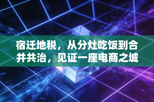 宿迁地税,从分灶吃饭到合并共治,见证一座电商之城的税收变迁与温情