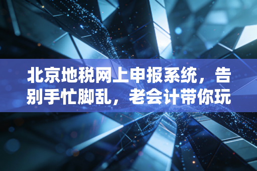 北京地税网上申报系统,告别手忙脚乱,老会计带你玩转指尖上的税务江湖