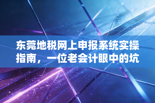 东莞地税网上申报系统实操指南，一位老会计眼中的坑与桥