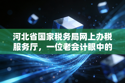 河北省国家税务局网上办税服务厅，一位老会计眼中的数字化办税实战与深度思考