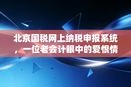 北京国税网上纳税申报系统,一位老会计眼中的爱恨情仇与实操避坑指南
