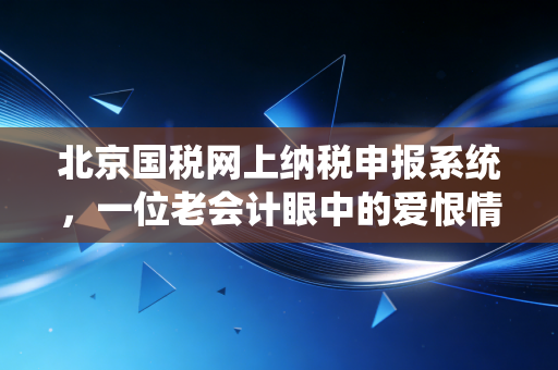 北京国税网上纳税申报系统,一位老会计眼中的爱恨情仇与实操避坑指南