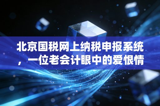北京国税网上纳税申报系统，一位老会计眼中的爱恨情仇与实操避坑指南