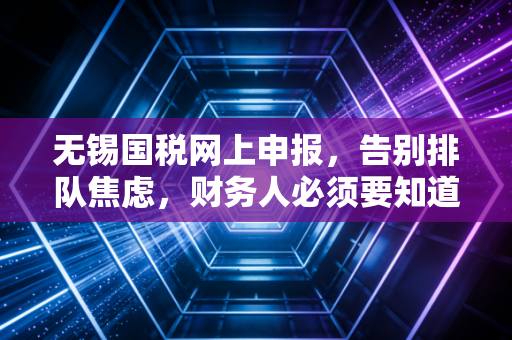 无锡国税网上申报，告别排队焦虑，财务人必须要知道的那些坑与捷径