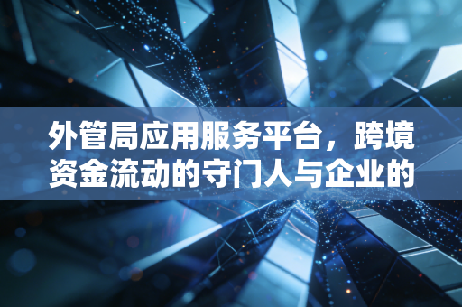 外管局应用服务平台，跨境资金流动的守门人与企业的必修课