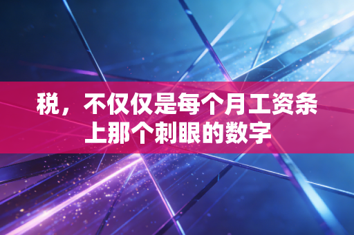 税，不仅仅是每个月工资条上那个刺眼的数字