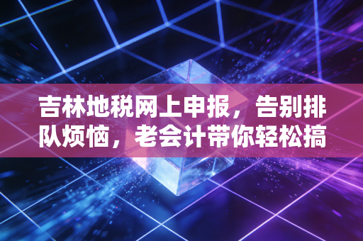 吉林地税网上申报，告别排队烦恼，老会计带你轻松搞定税务数字化