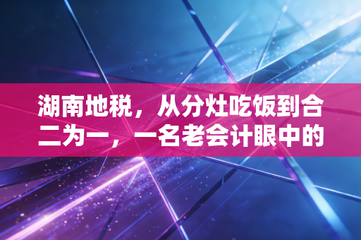 湖南地税,从分灶吃饭到合二为一,一名老会计眼中的湘军税务变迁与营商温度