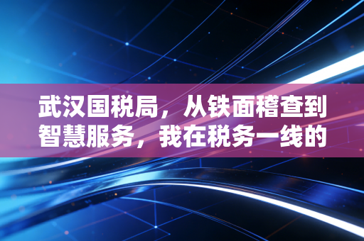 武汉国税局,从铁面稽查到智慧服务,我在税务一线的十年观察