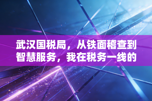 武汉国税局,从铁面稽查到智慧服务,我在税务一线的十年观察