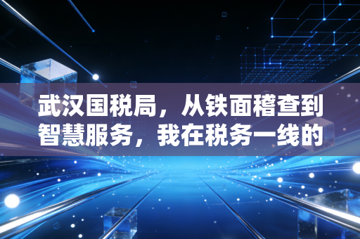 武汉国税局，从铁面稽查到智慧服务，我在税务一线的十年观察