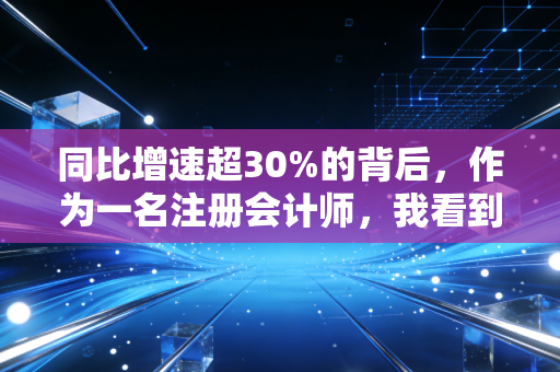 同比增速超30%的背后，作为一名注册会计师，我看到的繁荣与隐忧