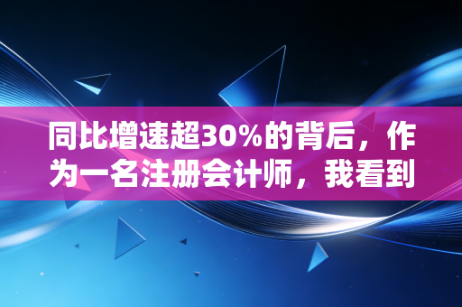 同比增速超30%的背后，作为一名注册会计师，我看到的繁荣与隐忧