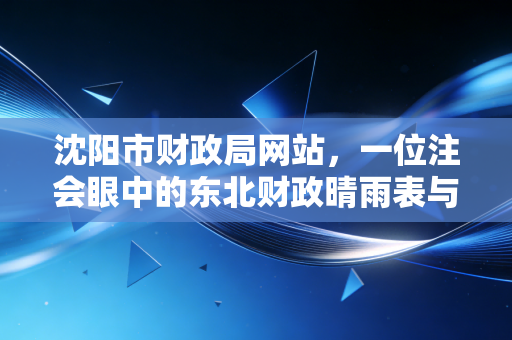 沈阳市财政局网站，一位注会眼中的东北财政晴雨表与实操指南