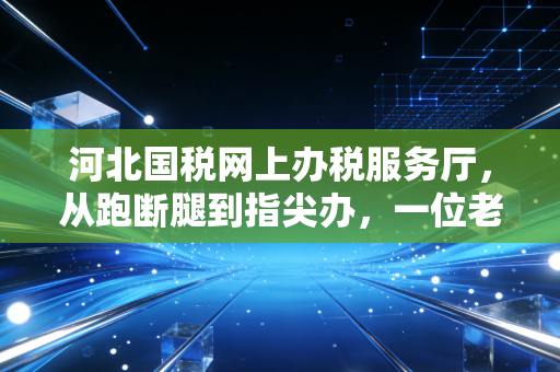 河北国税网上办税服务厅,从跑断腿到指尖办,一位老会计的实战心得与避坑指南