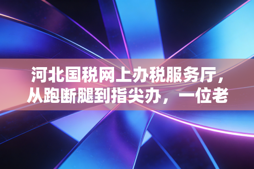 河北国税网上办税服务厅，从跑断腿到指尖办，一位老会计的实战心得与避坑指南