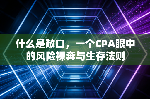 什么是敞口，一个CPA眼中的风险裸奔与生存法则