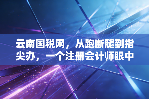 云南国税网，从跑断腿到指尖办，一个注册会计师眼中的税务数字化变迁与思考