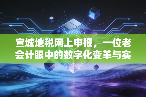 宣城地税网上申报，一位老会计眼中的数字化变革与实操避坑指南
