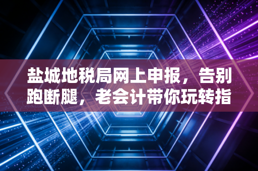 盐城地税局网上申报，告别跑断腿，老会计带你玩转指尖上的财税生活