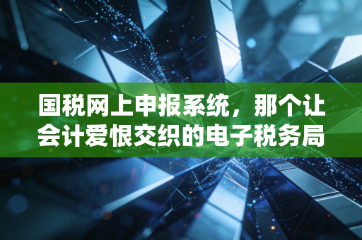 国税网上申报系统，那个让会计爱恨交织的电子税务局，到底改变了什么？