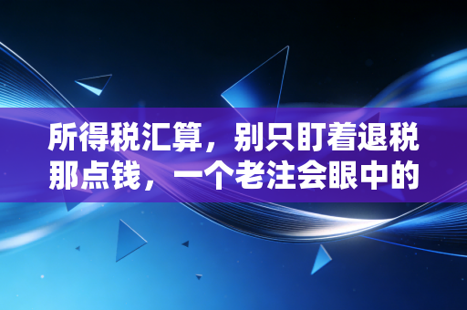 所得税汇算，别只盯着退税那点钱，一个老注会眼中的个税江湖与人生百态