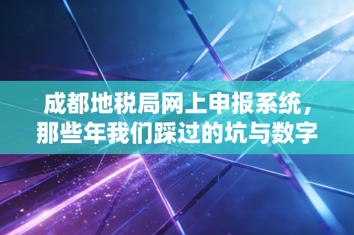 成都地税局网上申报系统，那些年我们踩过的坑与数字化转型的红利