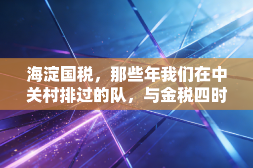 海淀国税，那些年我们在中关村排过的队，与金税四时代下的新博弈
