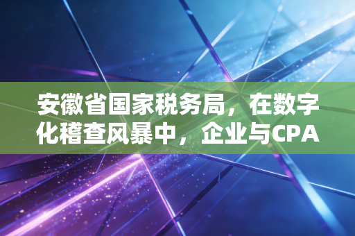安徽省国家税务局，在数字化稽查风暴中，企业与CPA的破局之道