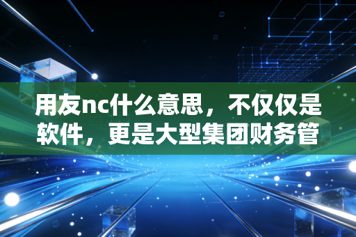 用友nc什么意思,不仅仅是软件,更是大型集团财务管控的定海神针