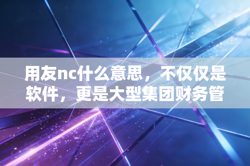 用友nc什么意思，不仅仅是软件，更是大型集团财务管控的定海神针