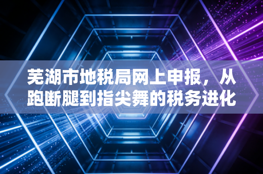 芜湖市地税局网上申报,从跑断腿到指尖舞的税务进化史
