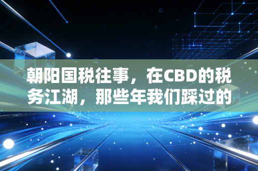 朝阳国税往事，在CBD的税务江湖，那些年我们踩过的坑与修过的桥