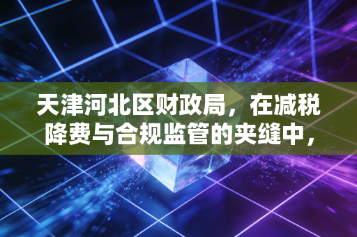 天津河北区财政局，在减税降费与合规监管的夹缝中，探寻企业生存的最优解