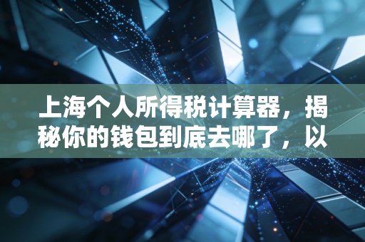 上海个人所得税计算器,揭秘你的钱包到底去哪了,以及如何聪明地省钱