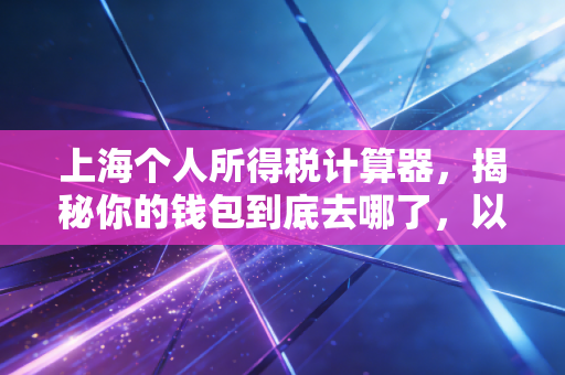 上海个人所得税计算器，揭秘你的钱包到底去哪了，以及如何聪明地省钱