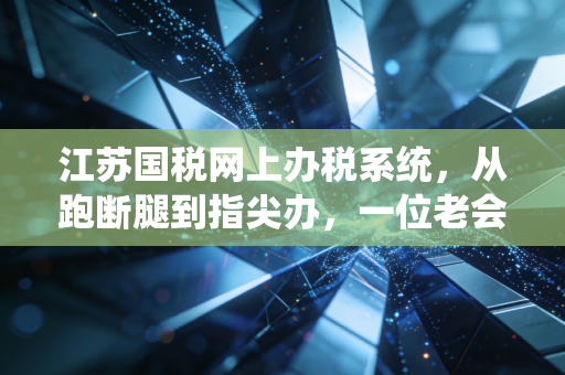 江苏国税网上办税系统，从跑断腿到指尖办，一位老会计眼中的税务数字化变迁