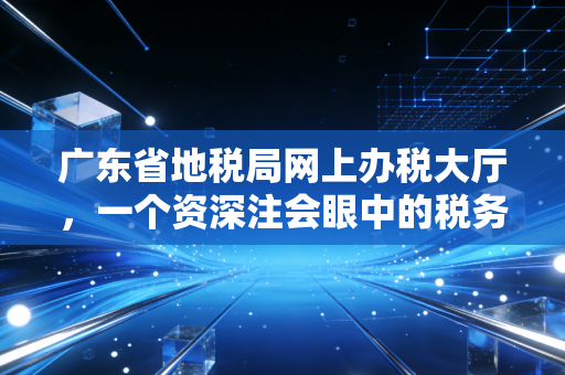广东省地税局网上办税大厅，一个资深注会眼中的税务数字化变迁与实操心得