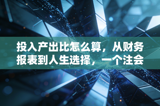 投入产出比怎么算，从财务报表到人生选择，一个注会眼中的真实价值