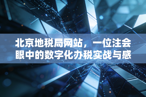 北京地税局网站,一位注会眼中的数字化办税实战与感悟