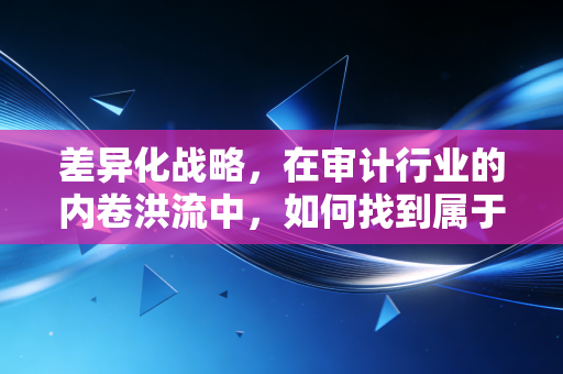 差异化战略,在审计行业的内卷洪流中,如何找到属于你的蓝海孤岛?