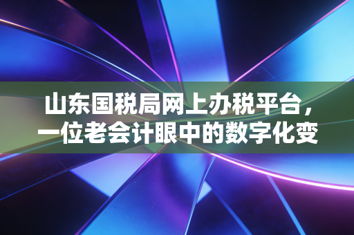 山东国税局网上办税平台，一位老会计眼中的数字化变革与实操指南
