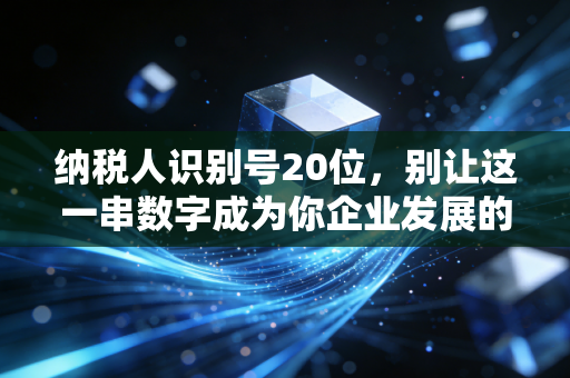 纳税人识别号20位，别让这一串数字成为你企业发展的紧箍咒