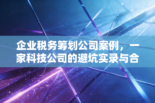企业税务筹划公司案例，一家科技公司的避坑实录与合规节税的实战心法