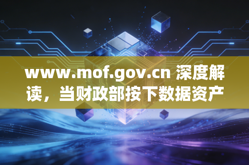 www.mof.gov.cn 深度解读，当财政部按下数据资产快进键，我们注册会计师该何去何从？