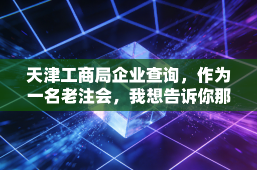 天津工商局企业查询，作为一名老注会，我想告诉你那些官网背后不为人知的商业真相