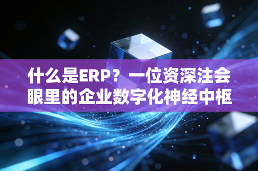什么是ERP？一位资深注会眼里的企业数字化神经中枢