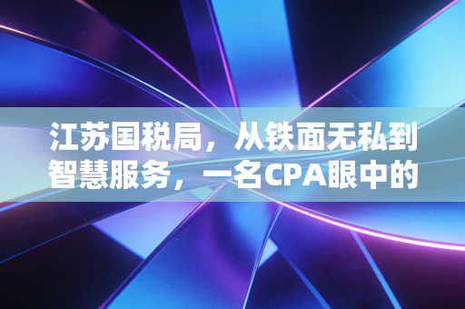 江苏国税局，从铁面无私到智慧服务，一名CPA眼中的营商环境变迁